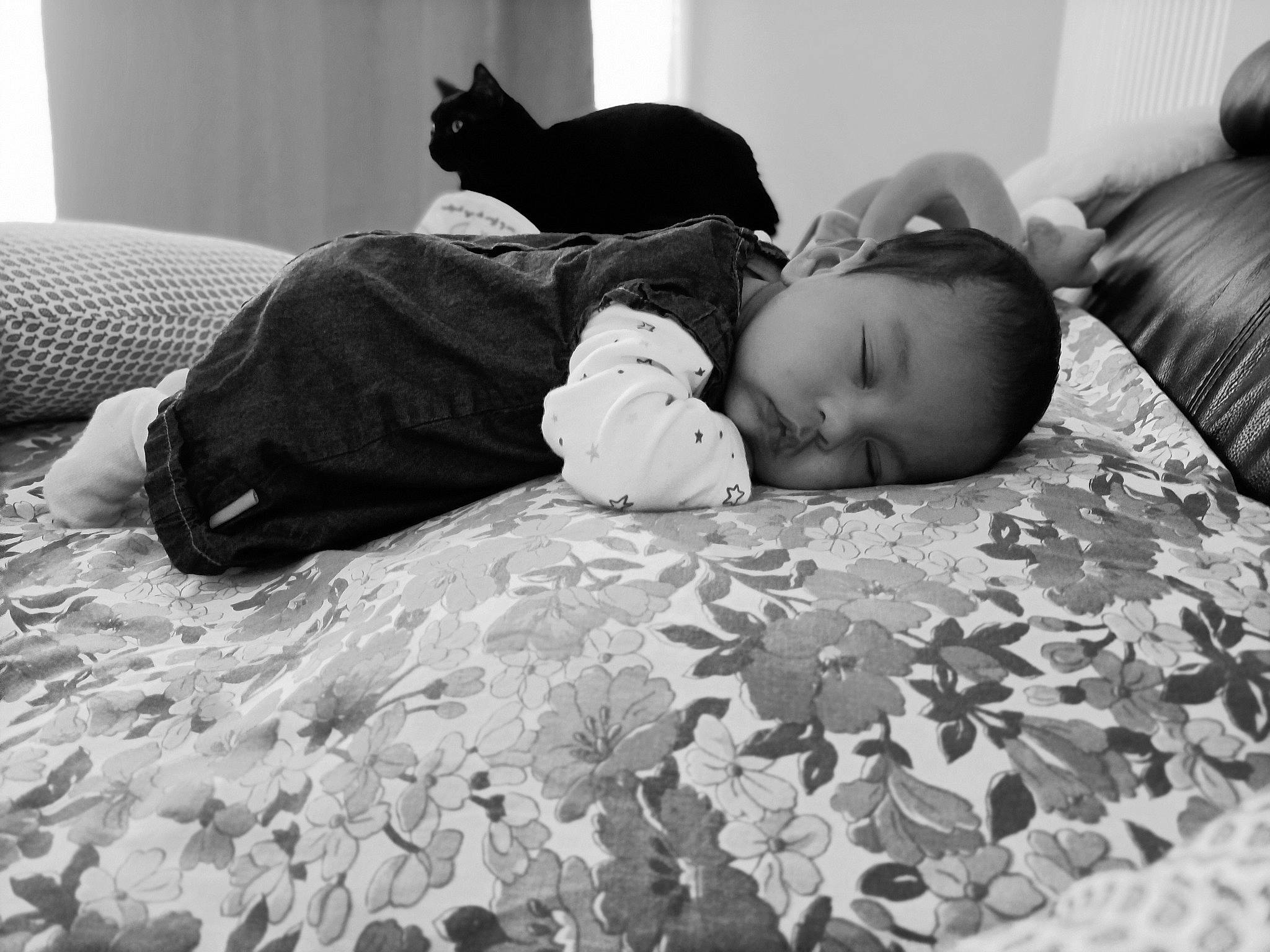 Madina a rejoint le concours — aidez-le/la à gagner de superbes lots ! bed, bed_sheet, bedding, bedroom, black, black_and_white, cat, child, comfort, flooring, fur, grass, grey, human_leg, linens, monochrome, monochrome_photography, person, sitting, toddler