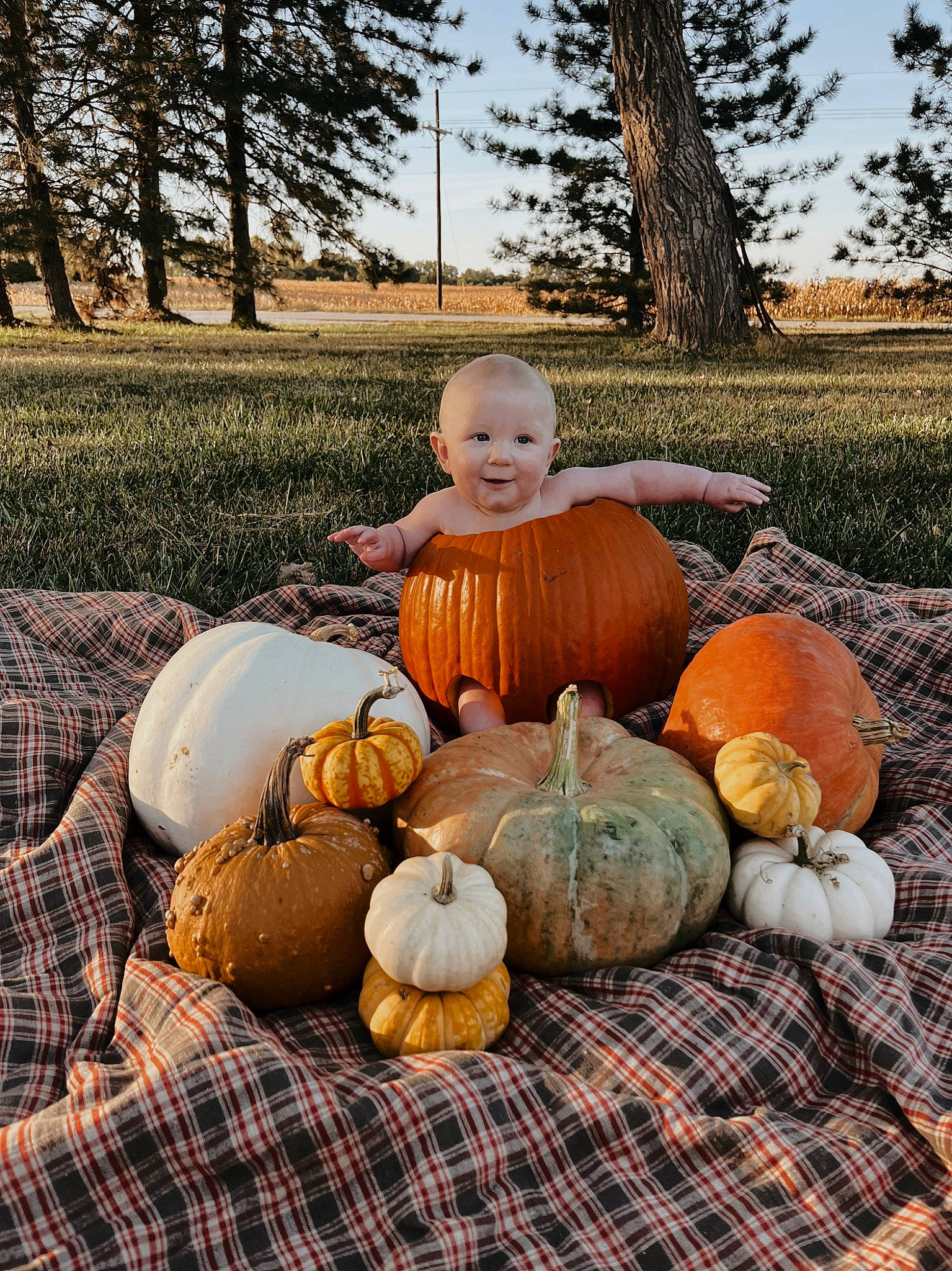 Brantlee joined the competition — help win amazing prizes! calabaza, cucurbita, food, fruit, gourd, grass, happy, joy, local_food, natural_foods, people_in_nature, person, plaid, plant, pumpkin, sky, smile, squash, tartan, tree