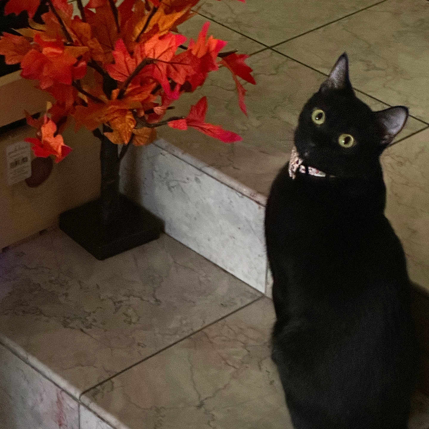 Sam