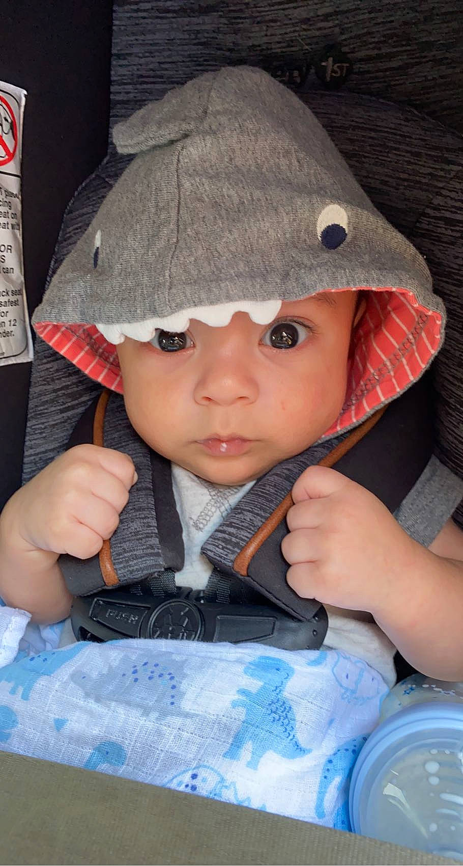 Giovanni joined the competition — help win amazing prizes! baby, baby_toddler_clothing, baseball_cap, blue, cap, cheek, child, clothing, cool, costume_hat, electric_blue, fashion_accessory, fun, hat, headgear, headwear, lip, person, skin, sleeve