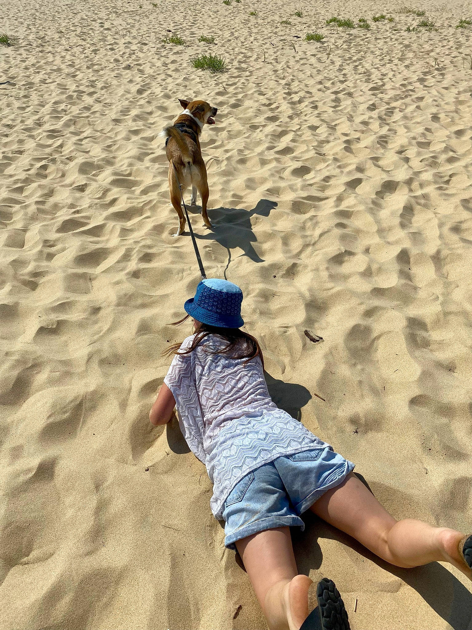 Lokki a rejoint le concours — aidez-le/la à gagner de superbes lots ! azure, beach, carnivore, erg, fun, headgear, landscape, light, mammal, natural_environment, people_in_nature, photograph, recreation, shade, shorts, singing_sand, summer, travel, vertebrate, working_animal