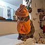 Lilith participe au concours pour gagner de l'argent avec cette photo : cat, tabby_cat, orange_hat, orange_bib, indoor, appliance, furniture, plant, hanging_plant, curtains, cushion, basket, home_decor, wooden_shelf, fabric, cozy, pet, animal, sitting, looking_down
