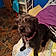 Molly