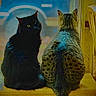 animals, black_cat, blurred_background, cat, chair, cozy, daylight, feline, furniture, green_eyes, indoor, looking_back, outdoor, pair, pets, sitting, tabby_cat, vehicle, window, wooden_surface
