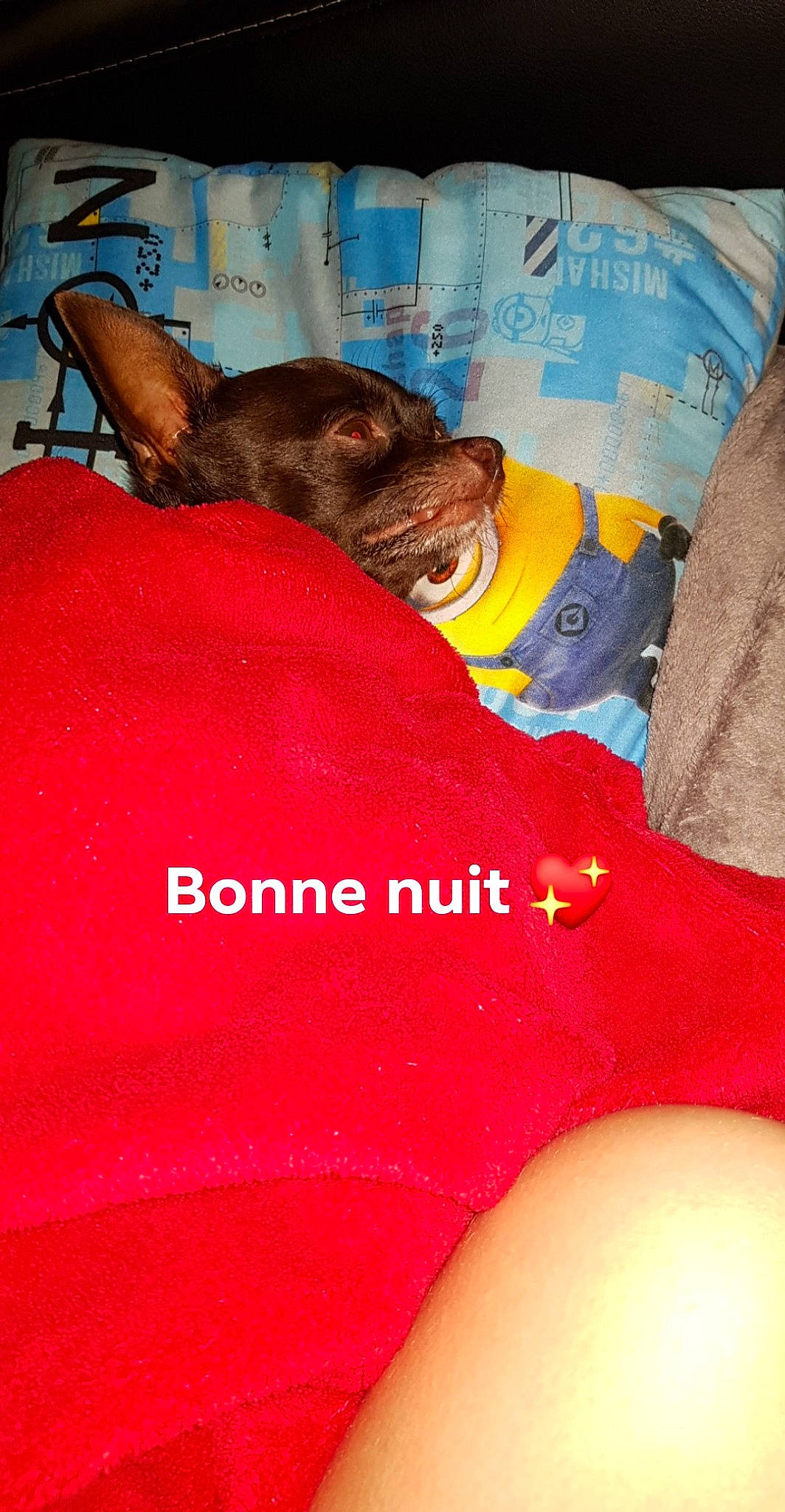 Nutella a rejoint le concours — aidez-le/la à gagner de superbes lots ! leg, thigh