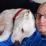 Koa joined the competition — help win amazing prizes! blue_hoodie, calm, casual, close_up, comfort, companion, couch, dog, friendship, glasses, home, human, indoor, man, pet, portrait, red_collar, relaxing, resting, white_dog