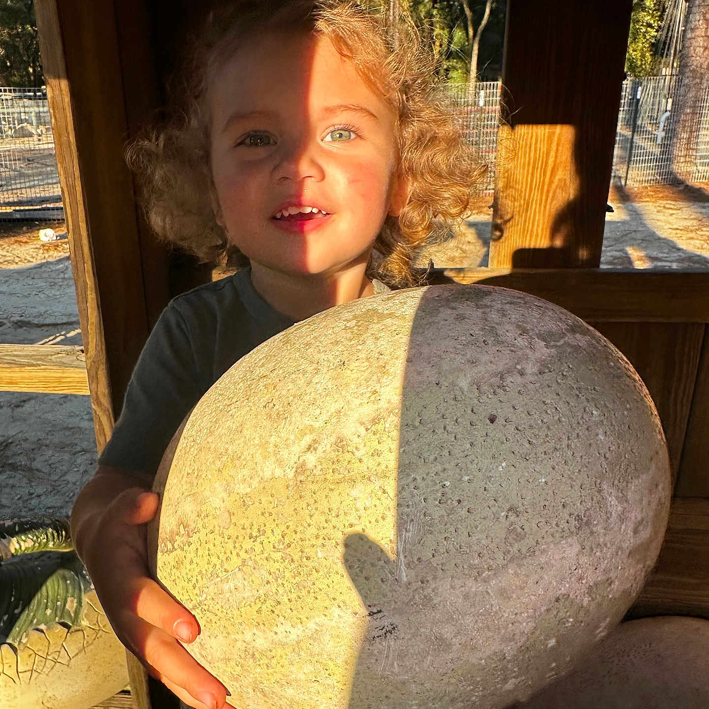Dawson is registered to the contest to win money with this photo: bright, child, curly_hair, daylight, egg, expression, face, fence, hand, holding, nature, outdoor, person, playground, rustic, shadow, sunlight, texture, toy, wood