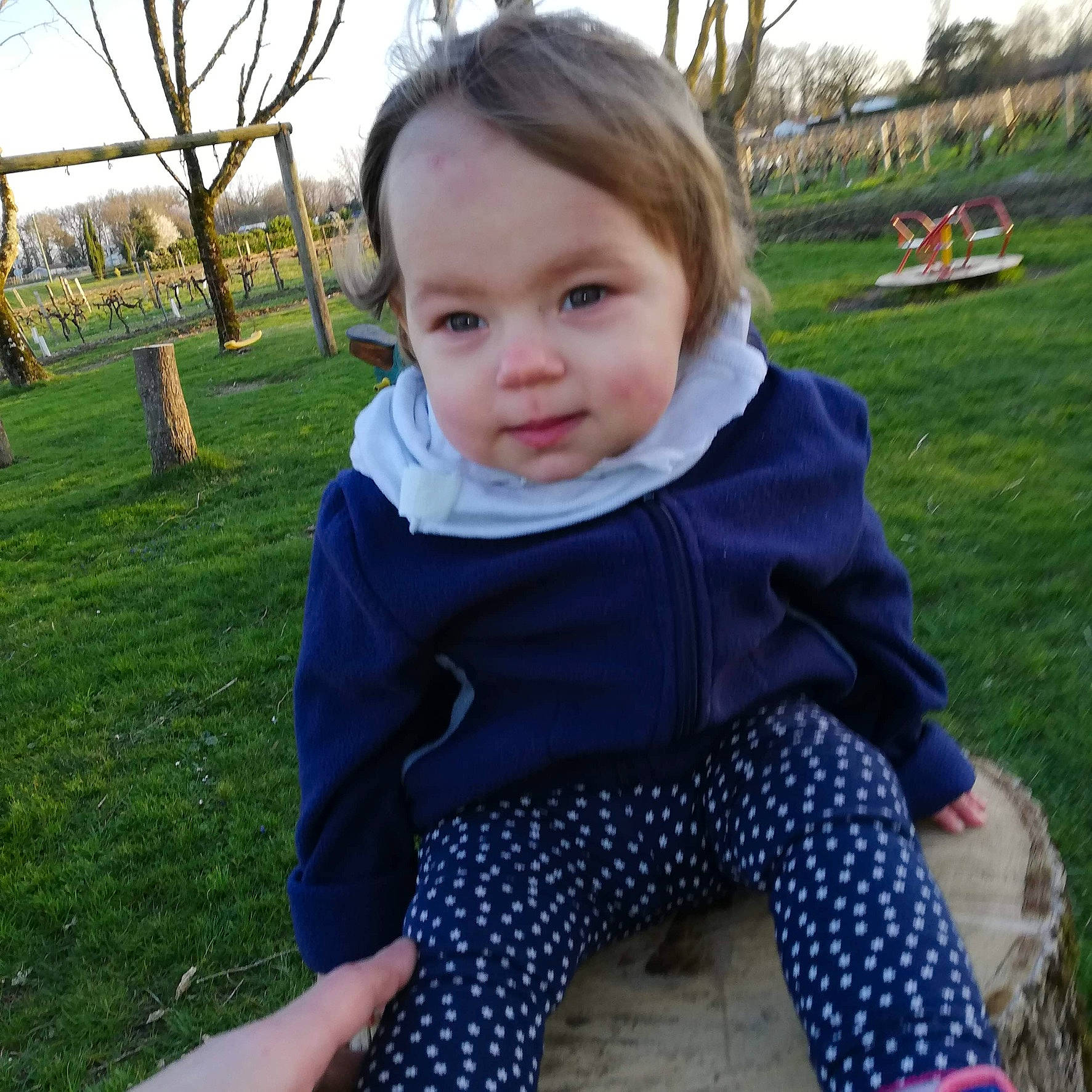 Opale participe au concours pour gagner de l'argent avec cette photo : baby, baby_toddler_clothing, face, fun, grass, hair, happy, head, iris, leaf, leisure, mammal, people, person, plant, public_space, sky, sleeve, toddler, tree