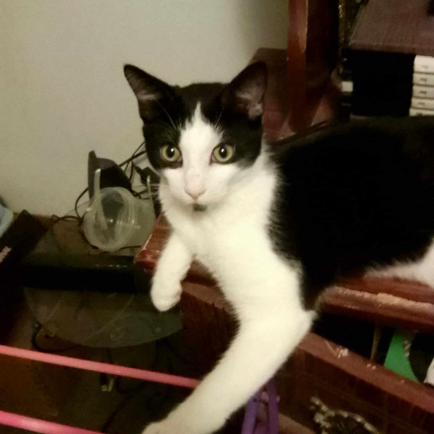 Remy