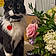 Sylvester