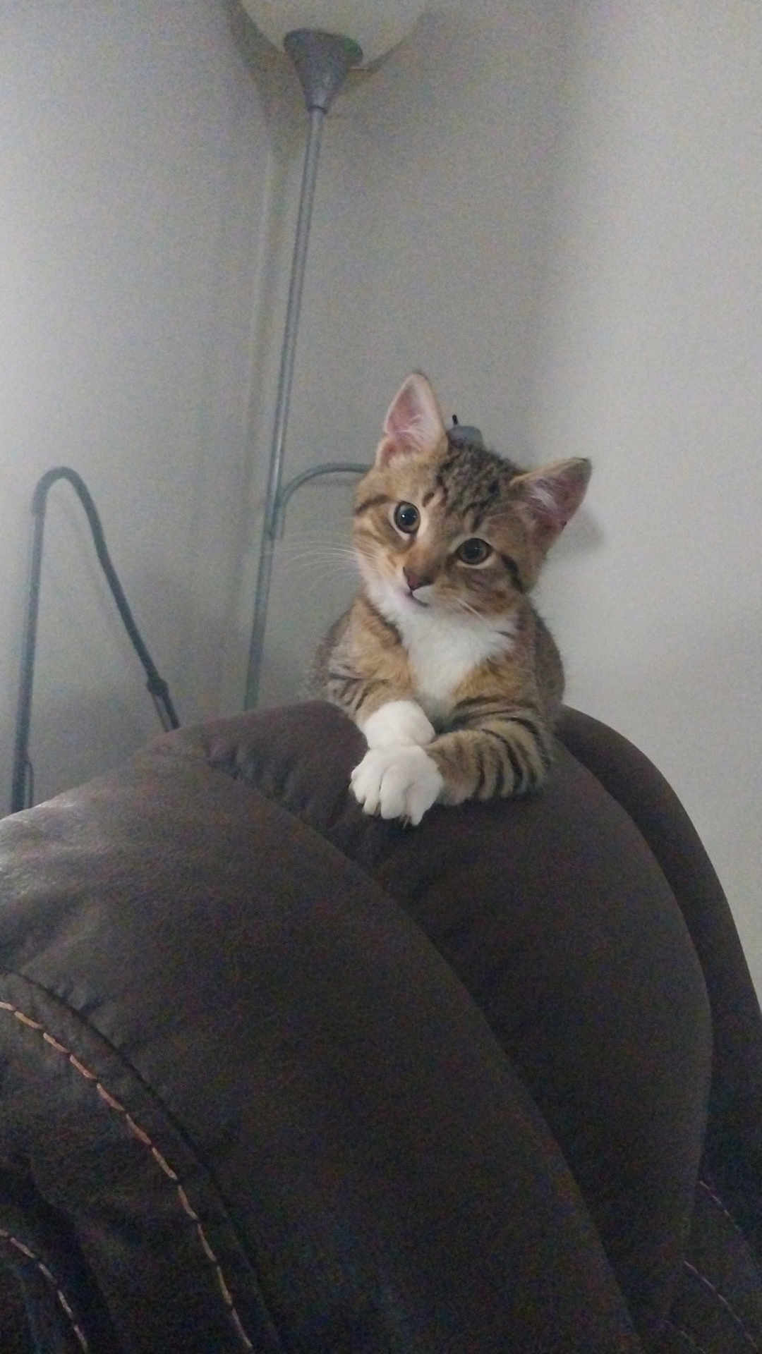 Gus