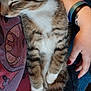 Gus joined the competition — help win amazing prizes! cat, tabby, sleeping, pet, animal, fur, whiskers, person, hand, nail_polish, tattoo, bracelet, clothing, fabric, lap, resting, cozy, indoor, comfort, relaxation