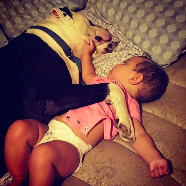 Vincent joined the competition — help win amazing prizes! baby, baby_sleeping, chest, cloud, comfort, elbow, finger, hand, happy, human_body, knee, lap, leg, mouth, muscle, neck, shorts, shoulder, thigh, trunk