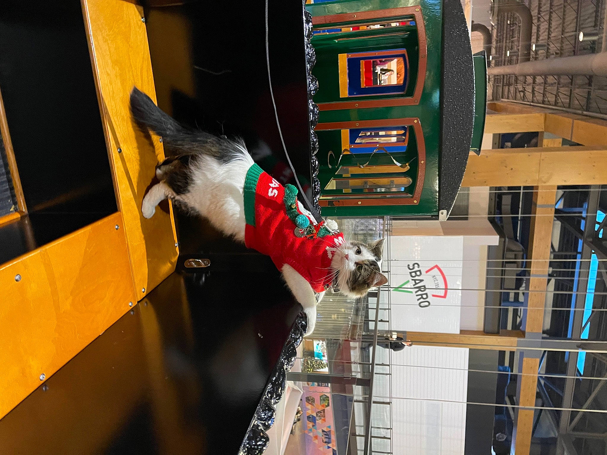 Mr. Mellow is registered to the contest to win money with this photo: audio_equipment, building, carmine, computer_hardware, electrical_wiring, engineering, fun, machine, recreation, window