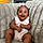 Kaylee