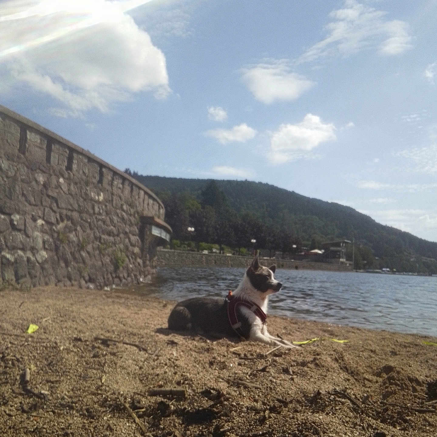 Balou