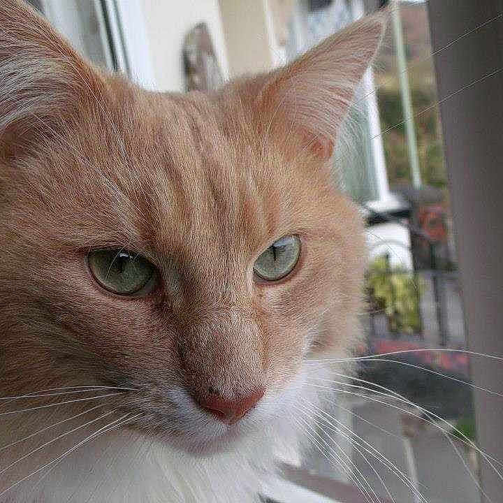 Monty is registered to the contest to win money with this photo: