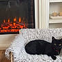 black_cat, cat, pet, chair, blanket, fireplace, indoor, wood_floor, shelf, candles, cozy, home, furniture, relaxing, fur, domestic_animal, living_room, warmth, red_collar, resting