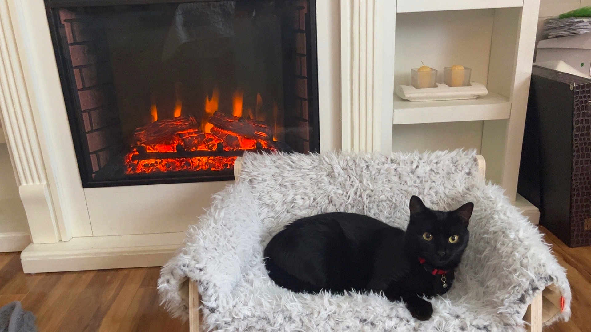 Binx