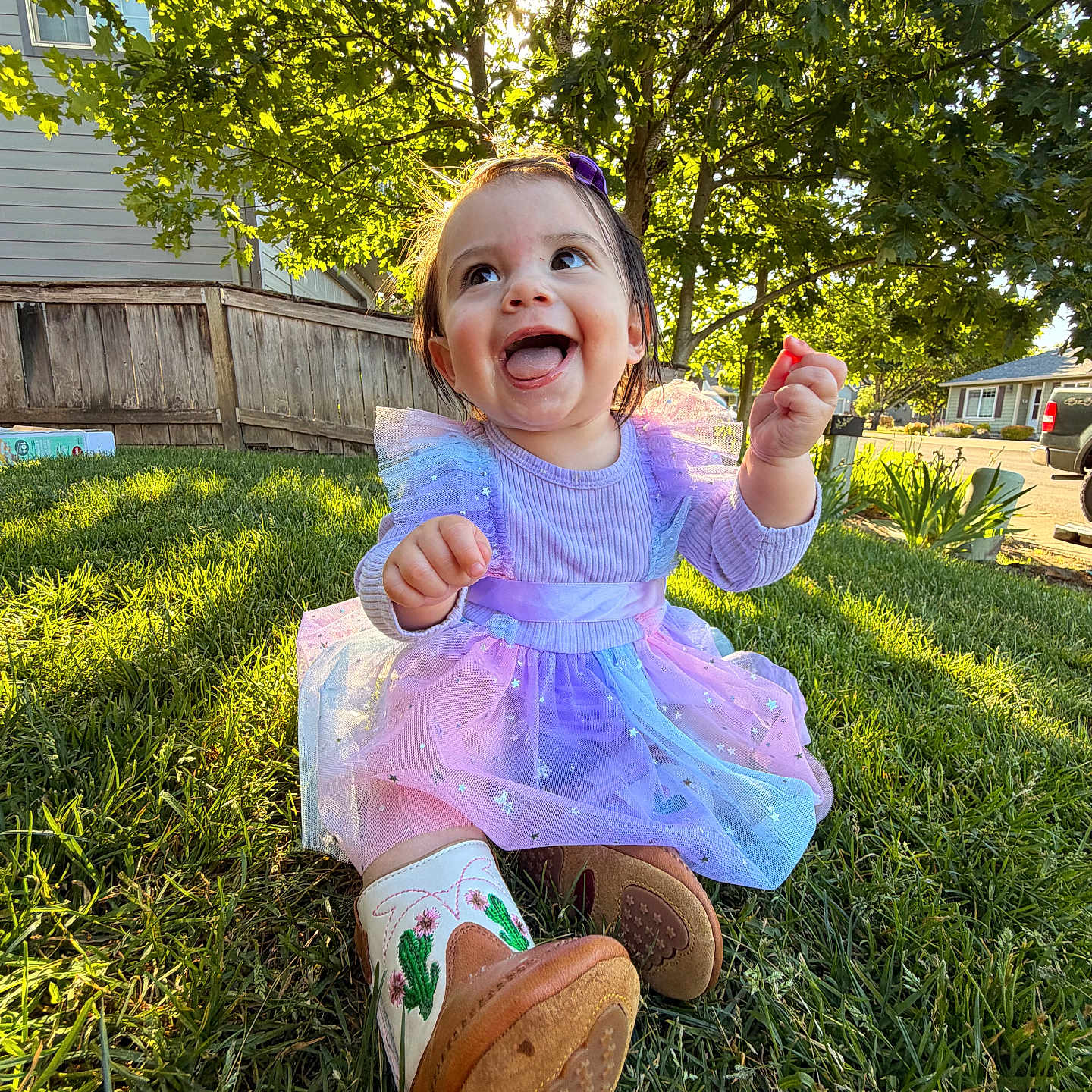 Amira