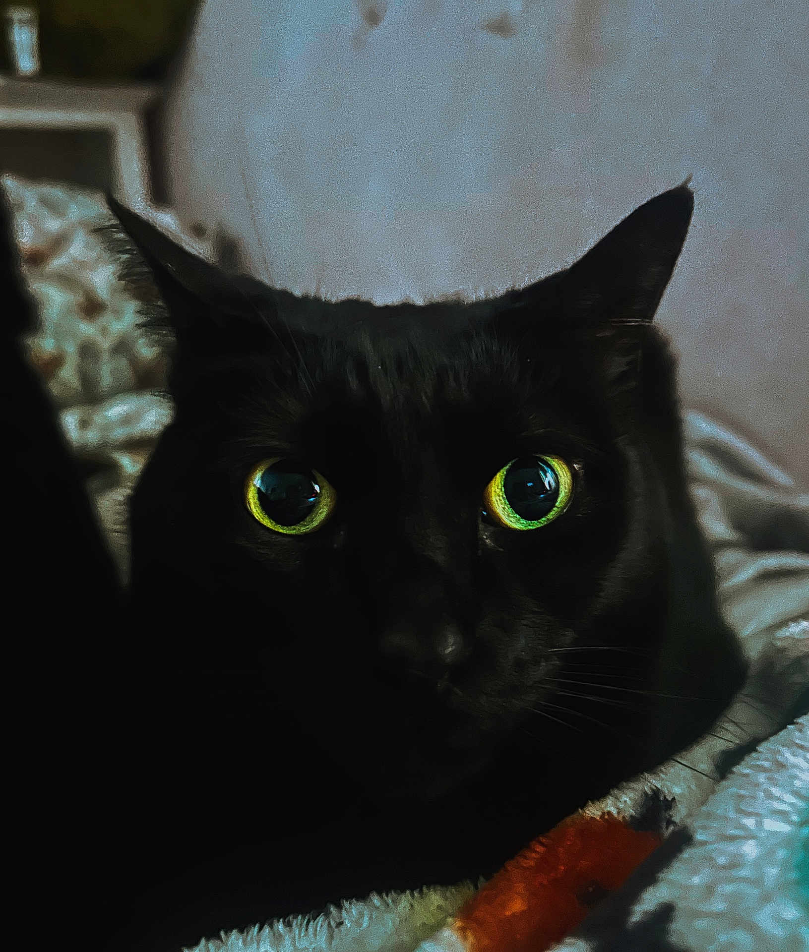 Jinx