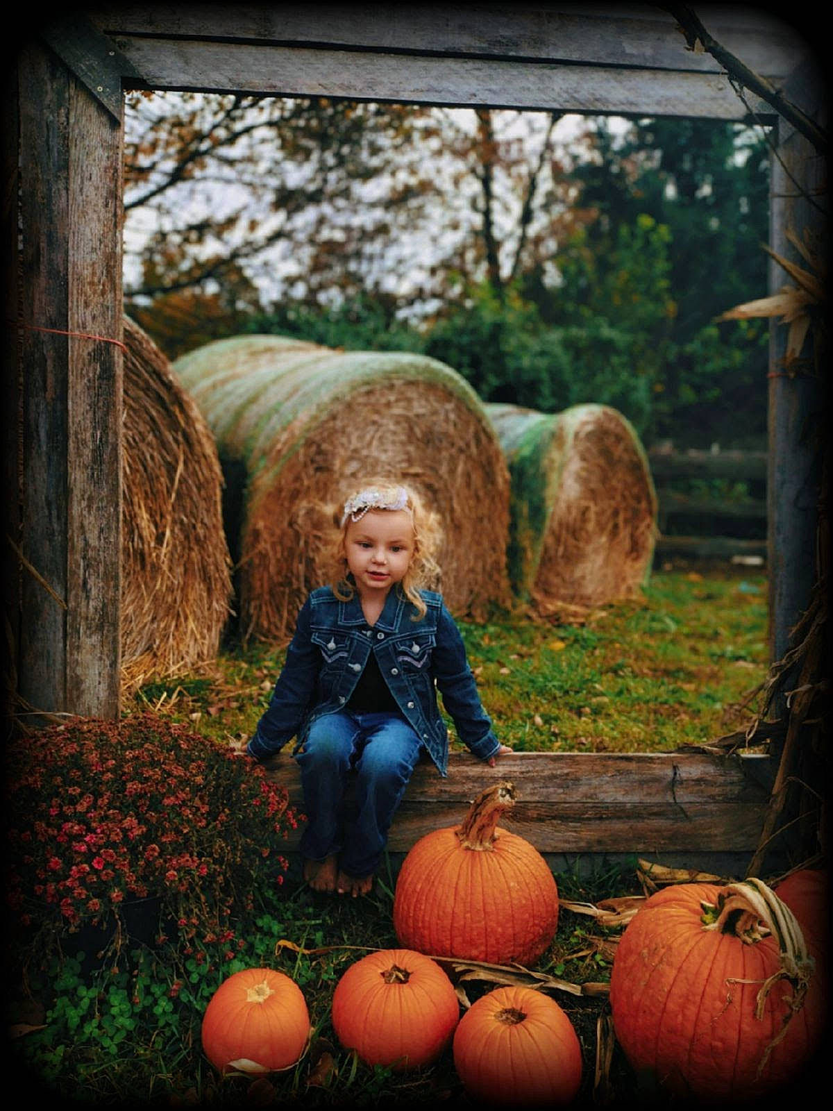 Legacy is registered to the contest to win money with this photo: botany, calabaza, eye, grass, green, hair, happy, head, human_body, leaf, mammal, nature, people_in_nature, person, photograph, plant, pumpkin, smile, tree, wood