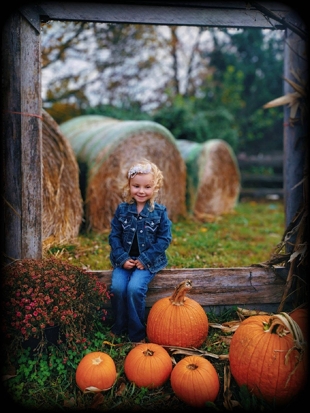 Legacy joined the competition — help win amazing prizes! adaptation, botany, calabaza, cucurbita, gourd, grass, green, happy, joy, leaf, morning, nature, people_in_nature, person, photograph, plant, pumpkin, smile, tree, winter_squash