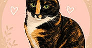 Ember Rue joined the competition — help win amazing prizes! cat, tortoiseshell_cat, animal, pet, portrait, close_up, green_eyes, whiskers, ears, fur, black_fur, orange_fur, white_chest, sitting, illustration, digital_art, pastel_background, hearts, sparkles, decorative_leaves