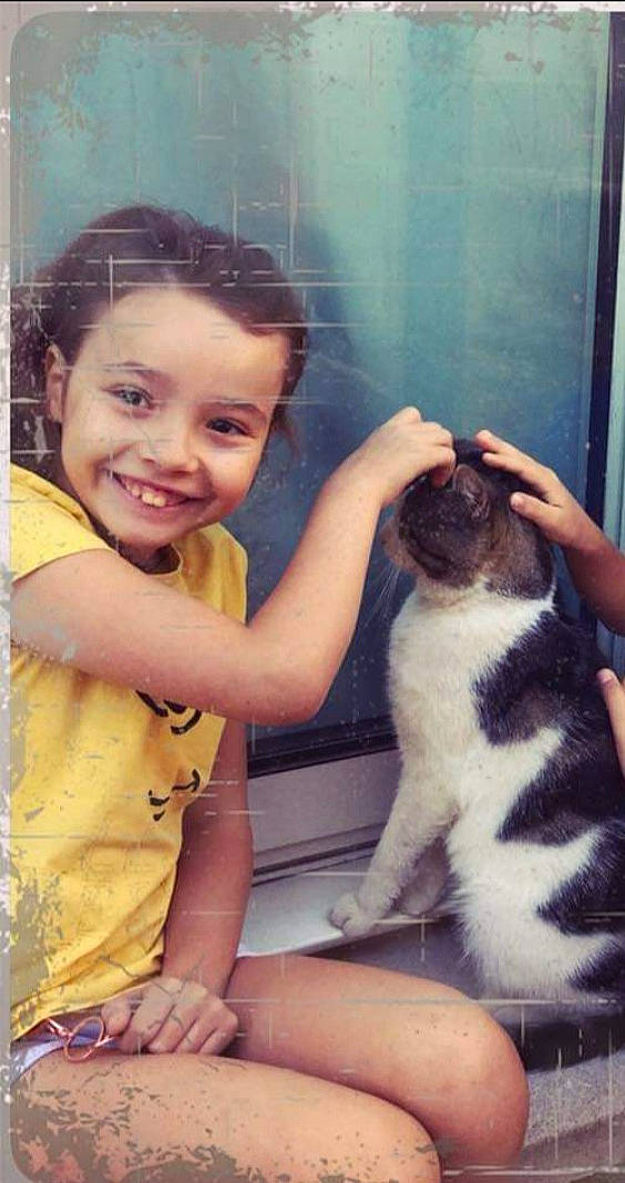 Noémie a rejoint le concours — aidez-le/la à gagner de superbes lots ! carnivore, cat, fawn, felidae, joy, kitten, person, small_to_medium_sized_cats, whiskers