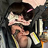 Kiara is registered to the contest to win money with this photo: animal, baby, black_dog, blanket, car_seat, chair, child, companion, cozy, cute, dog, furniture, indoor, infant, pet, pink_blanket, puppy, rest, sleeping, toddler