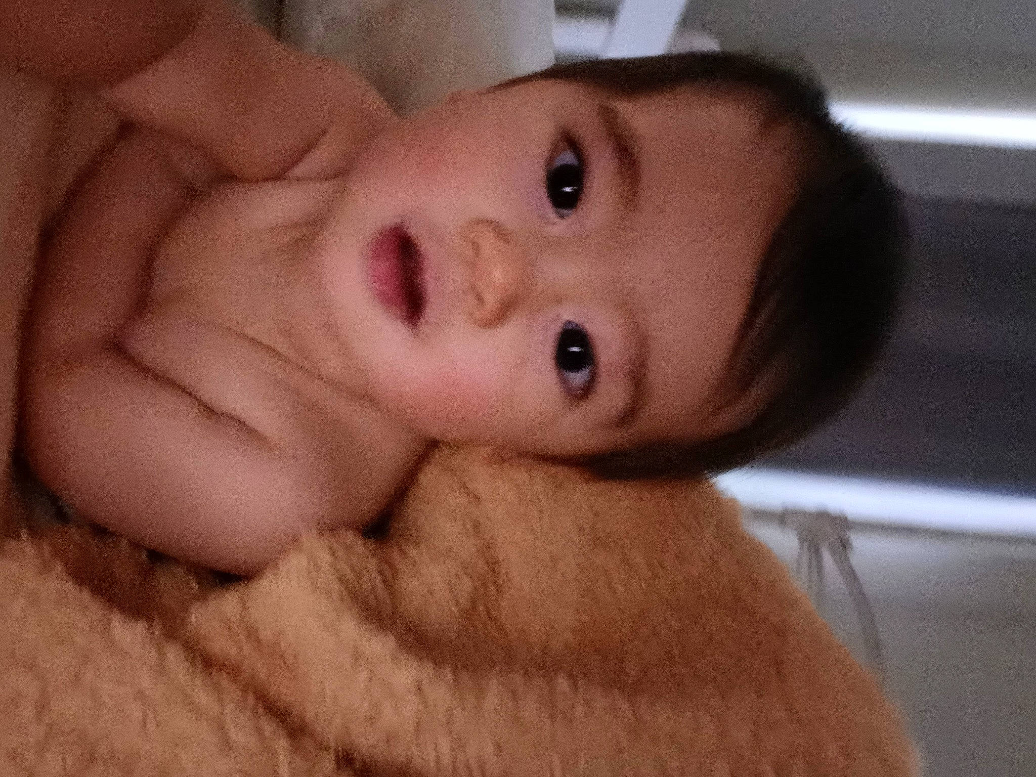 Ethan is registered to the contest to win money with this photo: abdomen, baby, cheek, chest, ear, eyelash, gesture, hair, hand, human_body, iris, jaw, lip, nail, no_expression, nose, person, skin, thumb, toddler