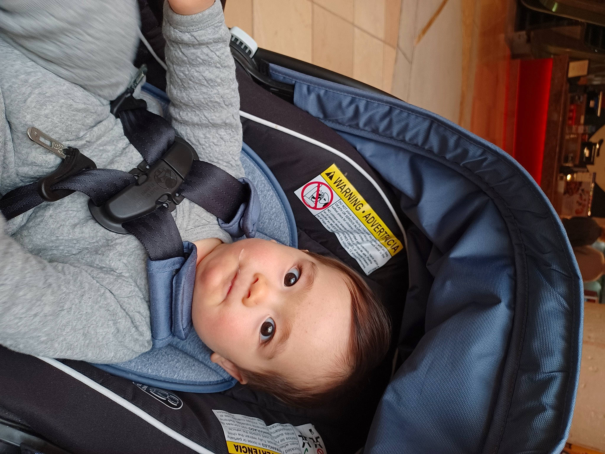 Ethan joined the competition — help win amazing prizes! auto_part, baby, baby_carriage, baby_products, baby_safety, baby_toddler_clothing, car_seat, child, comfort, person, sitting, toddler, tree