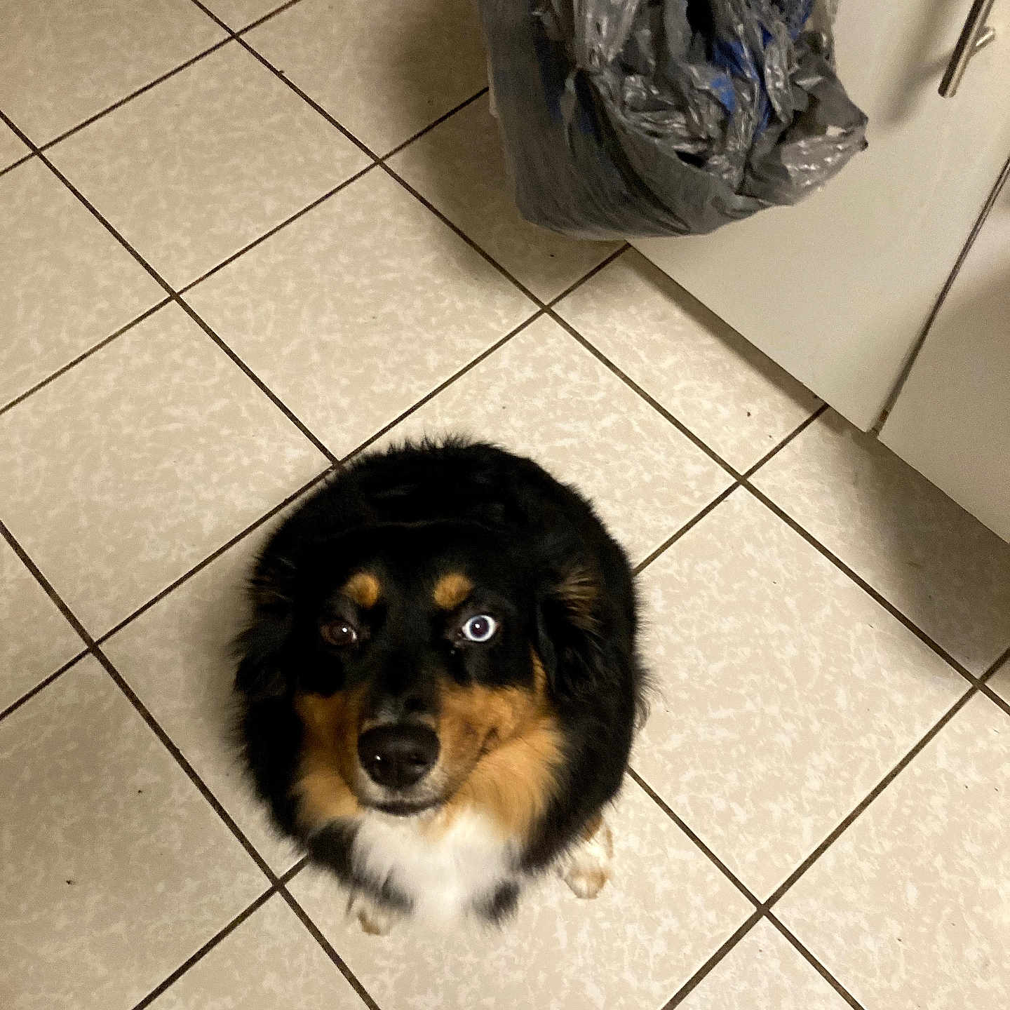Bella