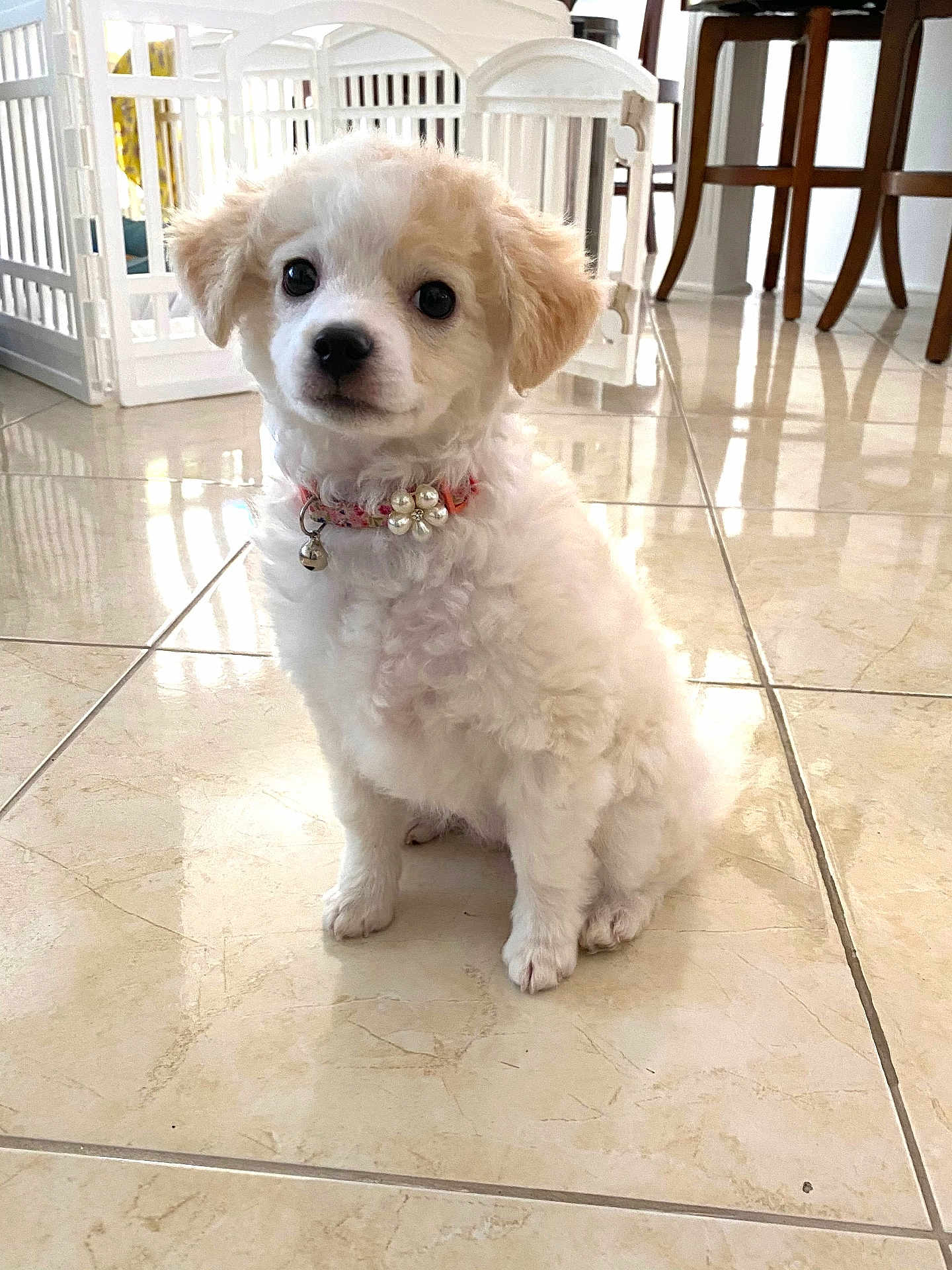 Lady Sophie