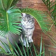 Lilou a rejoint le concours — aidez-le/la à gagner de superbes lots !