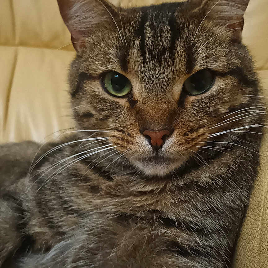 Twix