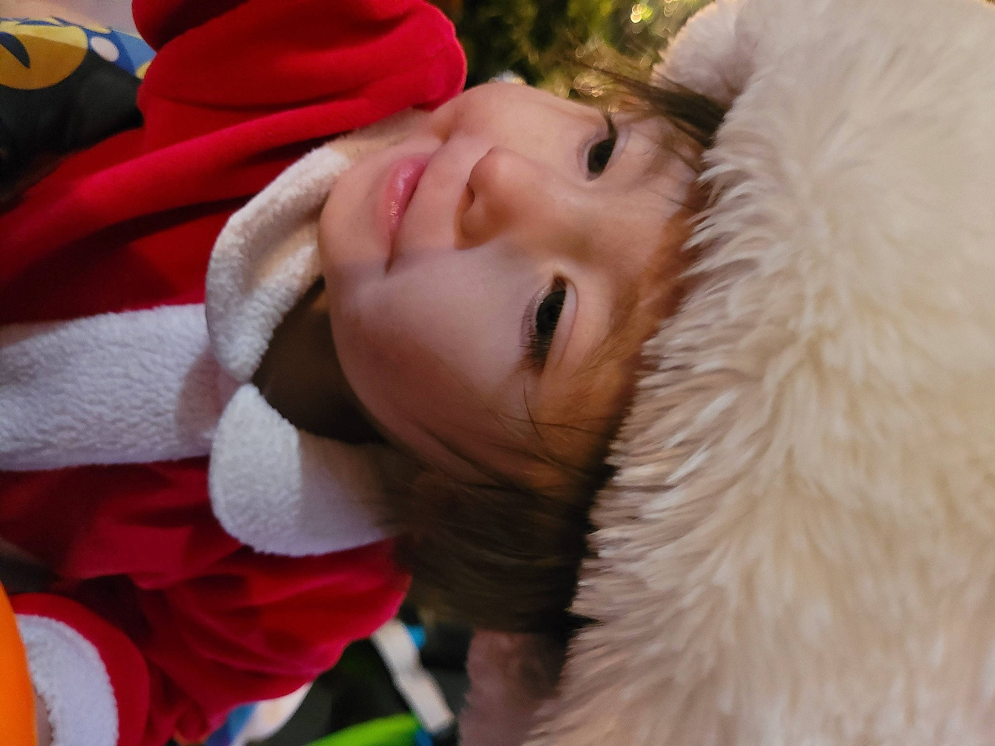 Ayla is registered to the contest to win money with this photo: child, companion_dog, costume, event, eye, fun, fur, fur_clothing, grass, happy, headwear, lip, person, plant, portrait_photography, red, santa_claus, scarf, smile, tradition