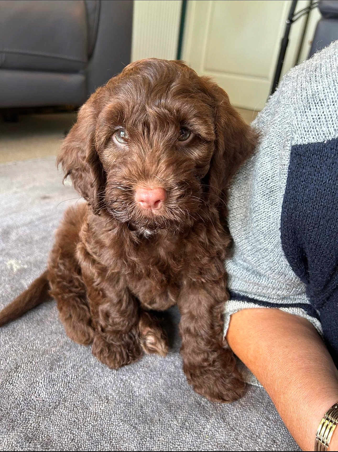 Archie