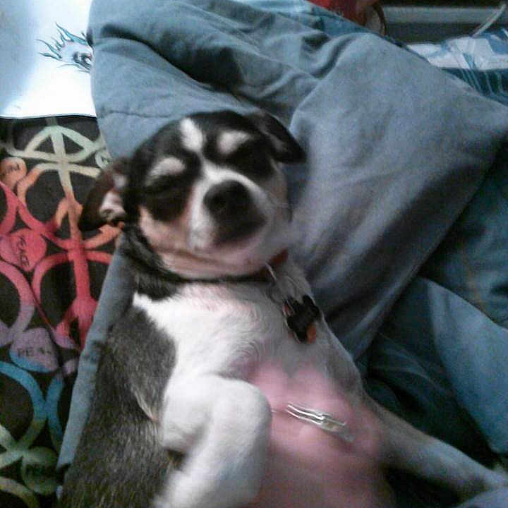 Dobie Gregory Wilson is registered to the contest to win money with this photo:
