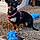 Tootsie