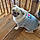 Mochi Girl