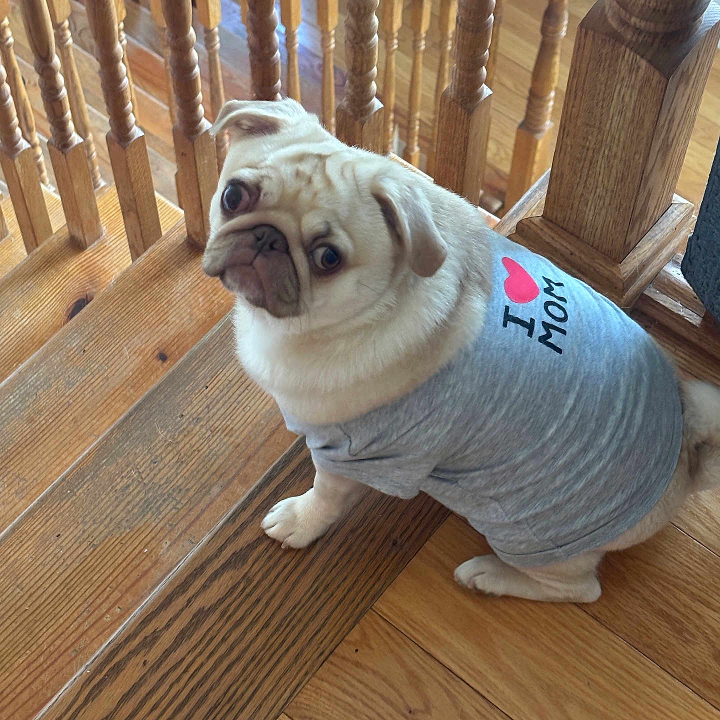 Mochi Girl
