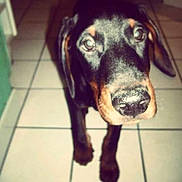 Fako participe au concours pour gagner de l'argent avec cette photo :