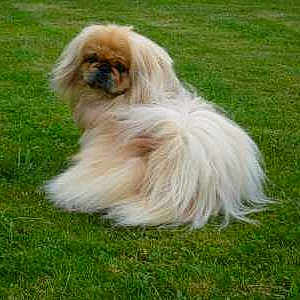 Ulysse a rejoint le concours — aidez-le/la à gagner de superbes lots !