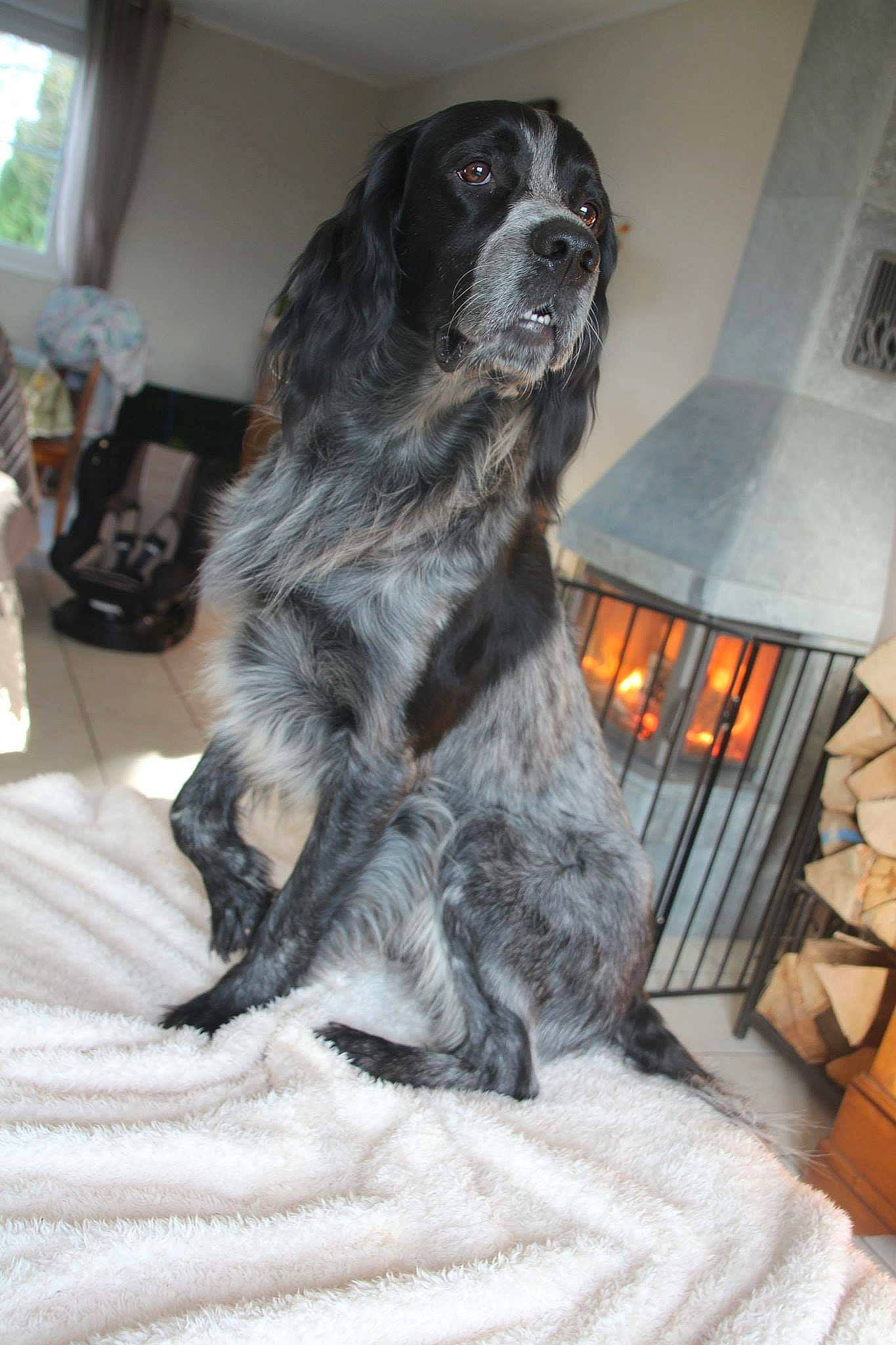 Night Du Clos Du Maldav