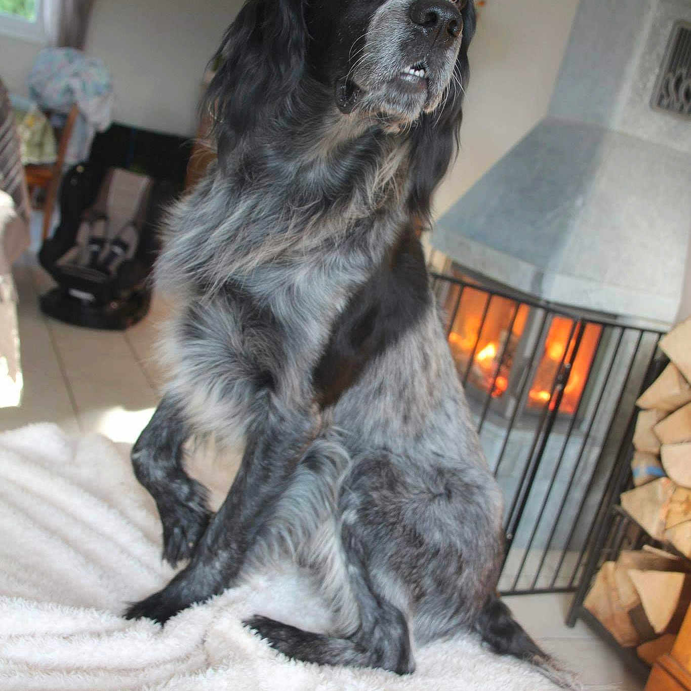 Night Du Clos Du Maldav