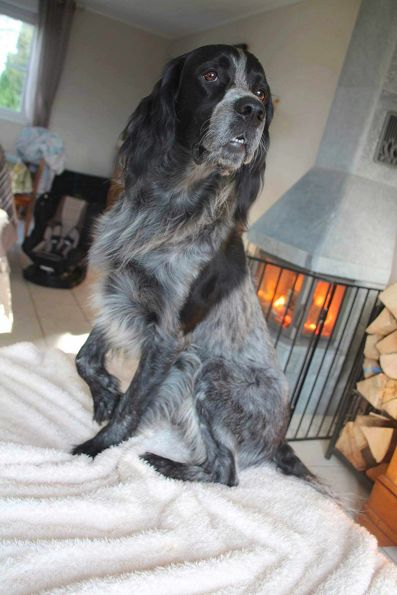 Night Du Clos Du Maldav