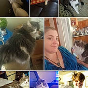 Whisper joined the competition — help win amazing prizes! animal, cat, chair, couch, cozy, domestic, furniture, happy, home, indoor, living_room, longhair, people, person, pet, pillow, portrait, relaxed, smiling, tabby