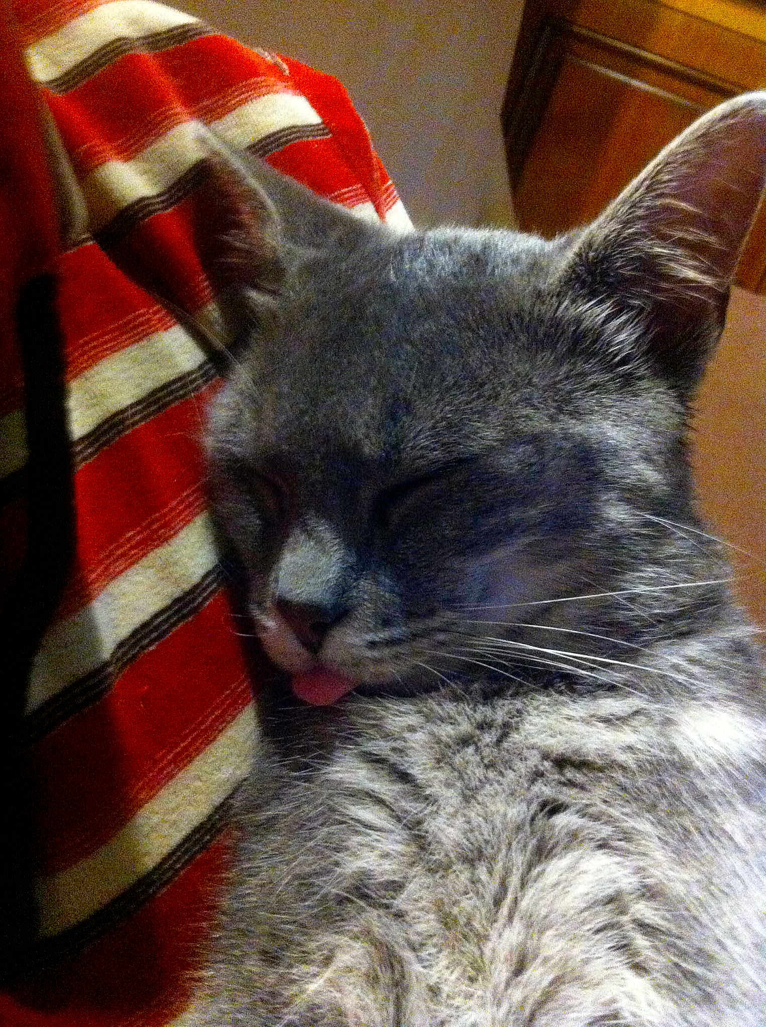 Josephine