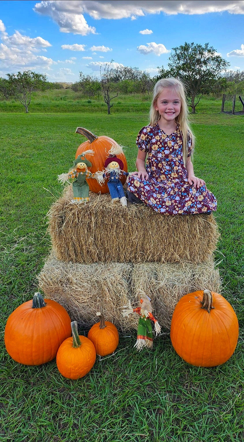 Alyvia is registered to the contest to win money with this photo: agriculture, baby_toddler_clothing, calabaza, cloud, cucurbita, gourd, grass, joy, landscape, leaf, natural_foods, nature, person, plant, pumpkin, sky, smile, squash, toddler, tree